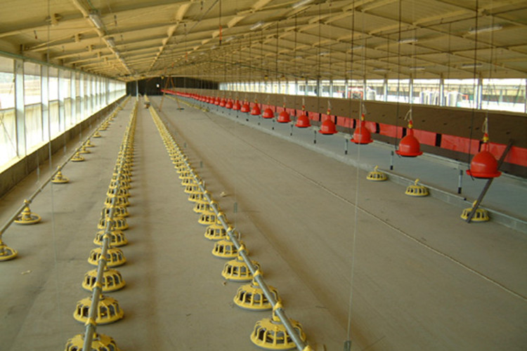 Automatic Prefabricatd Poultry Farming House For Broilers