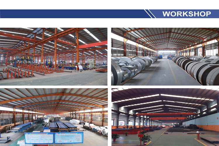 Steel Structure Warehouse For Base Paper Storage