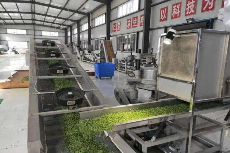 Prefabricated Steel Structure For Tea Processing Plant